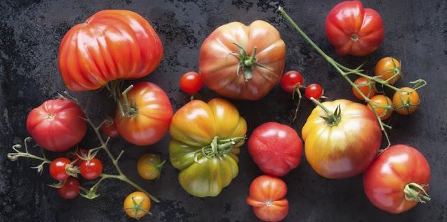 Chất lượng, dịch vụ và giá