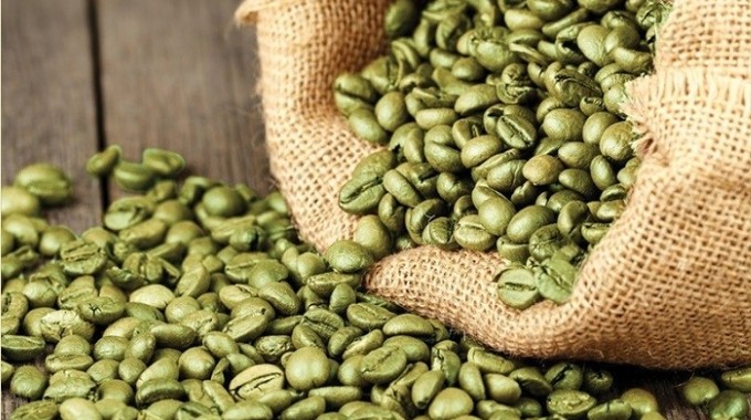 Robusta Sẻ nhân xanh